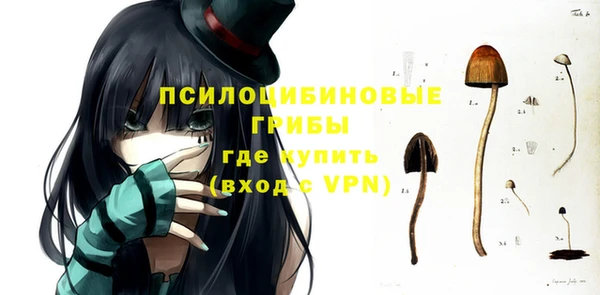 дурь Алексин