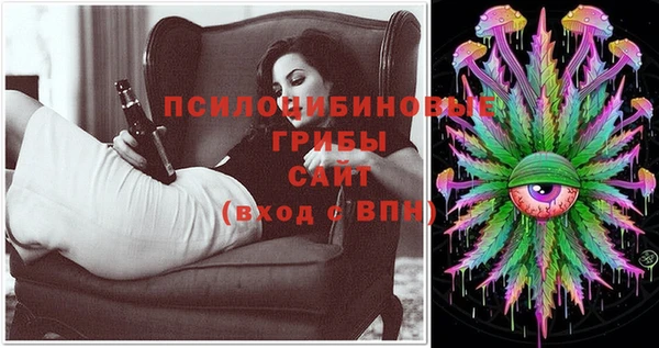 дурь Алексин