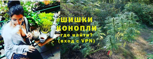 прущие грибы Новокубанск