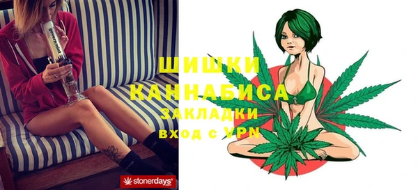 индика Алексеевка